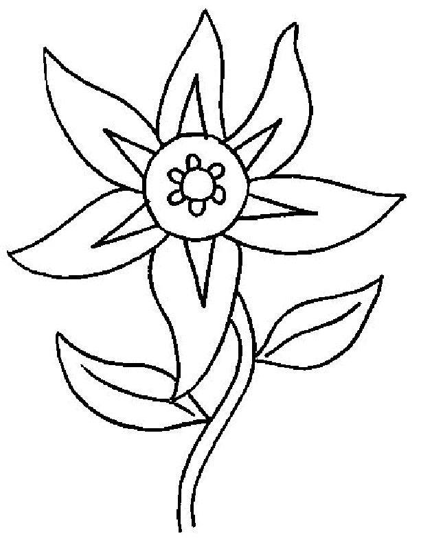 Flowers | Free Printable Coloring Pages – Coloringpagesfun.com