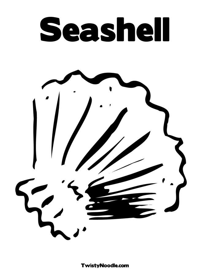 Sea Shell Coloring Pages Shells From Auger Pictures