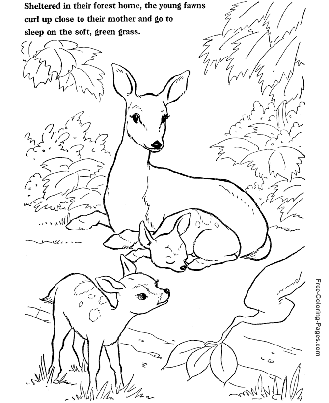 National Geographic Coloring Pages - Coloring Home