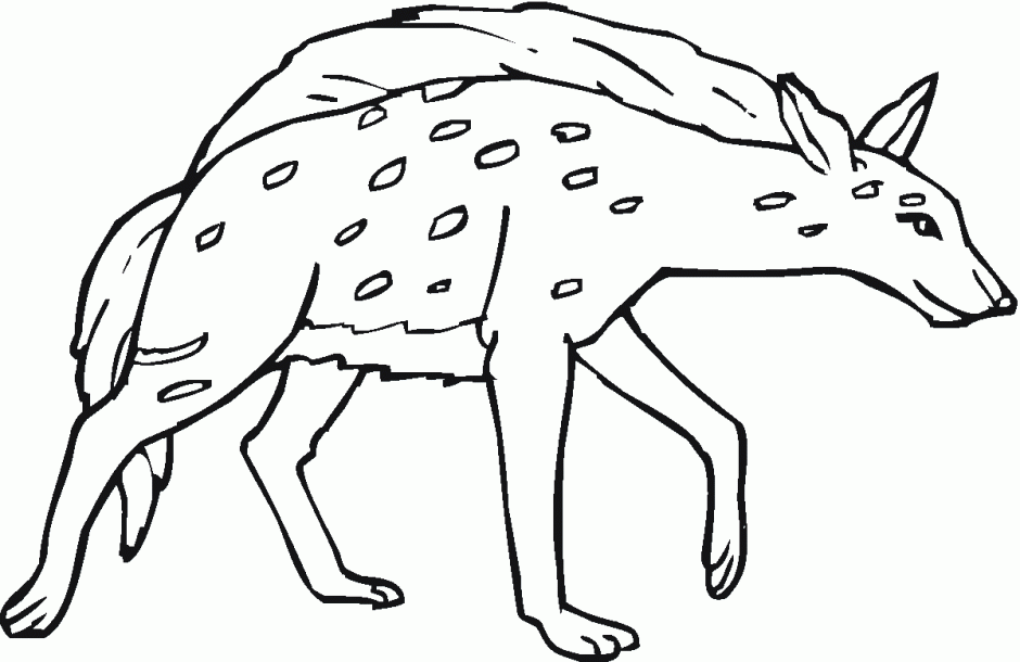 Spotted Or Laughing Hyena Coloring Online Super Coloring 276353 
