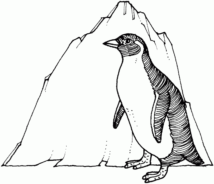 Baby Penguin Coloring Pages Printable Coloring Penguins Christmas ...