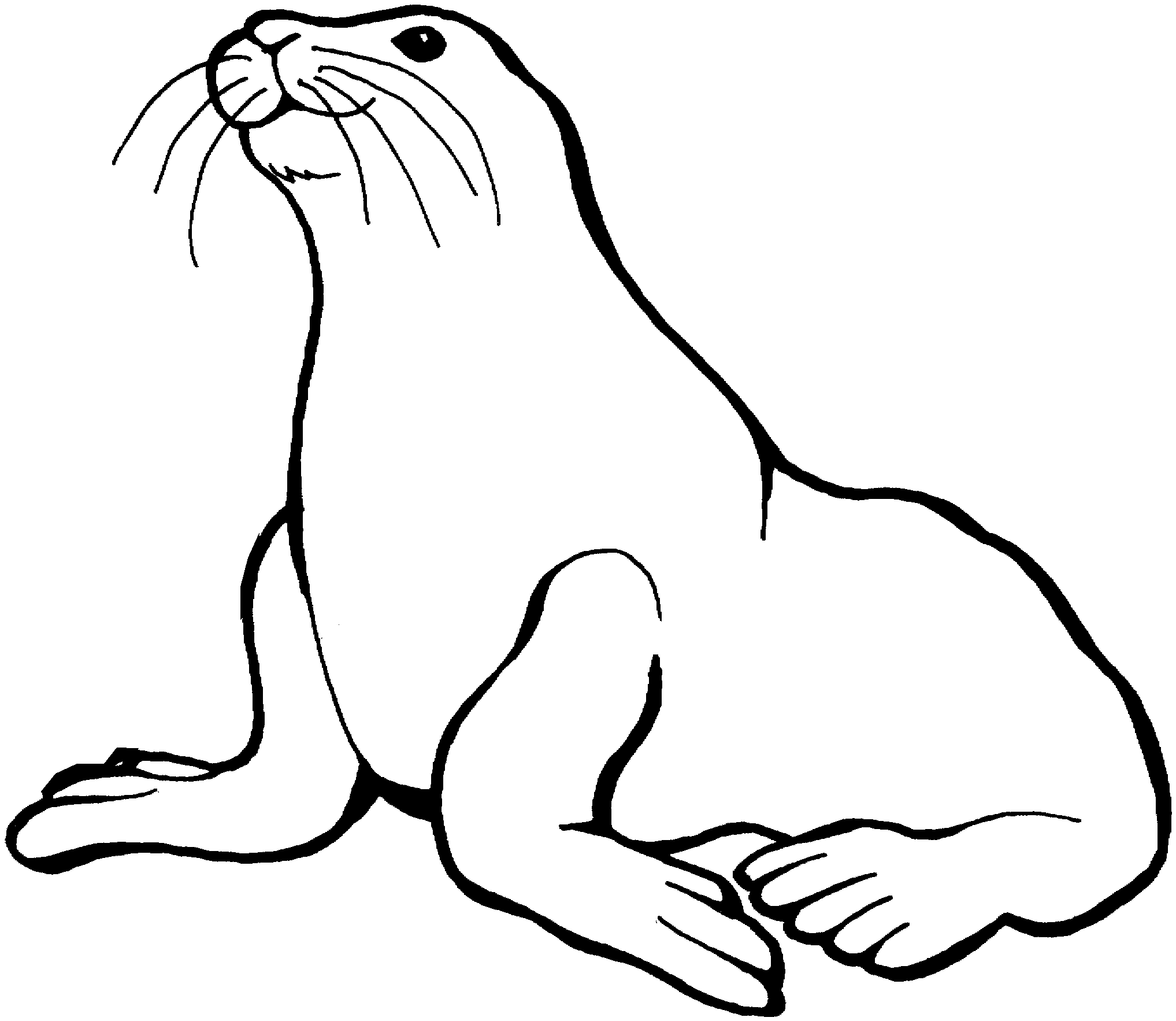 Baby Sea Lion Coloring Pages - Coloring Pages For All Ages