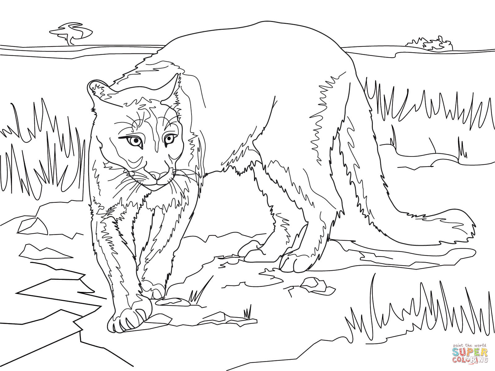 coloring pages for the florida panther - photo #20