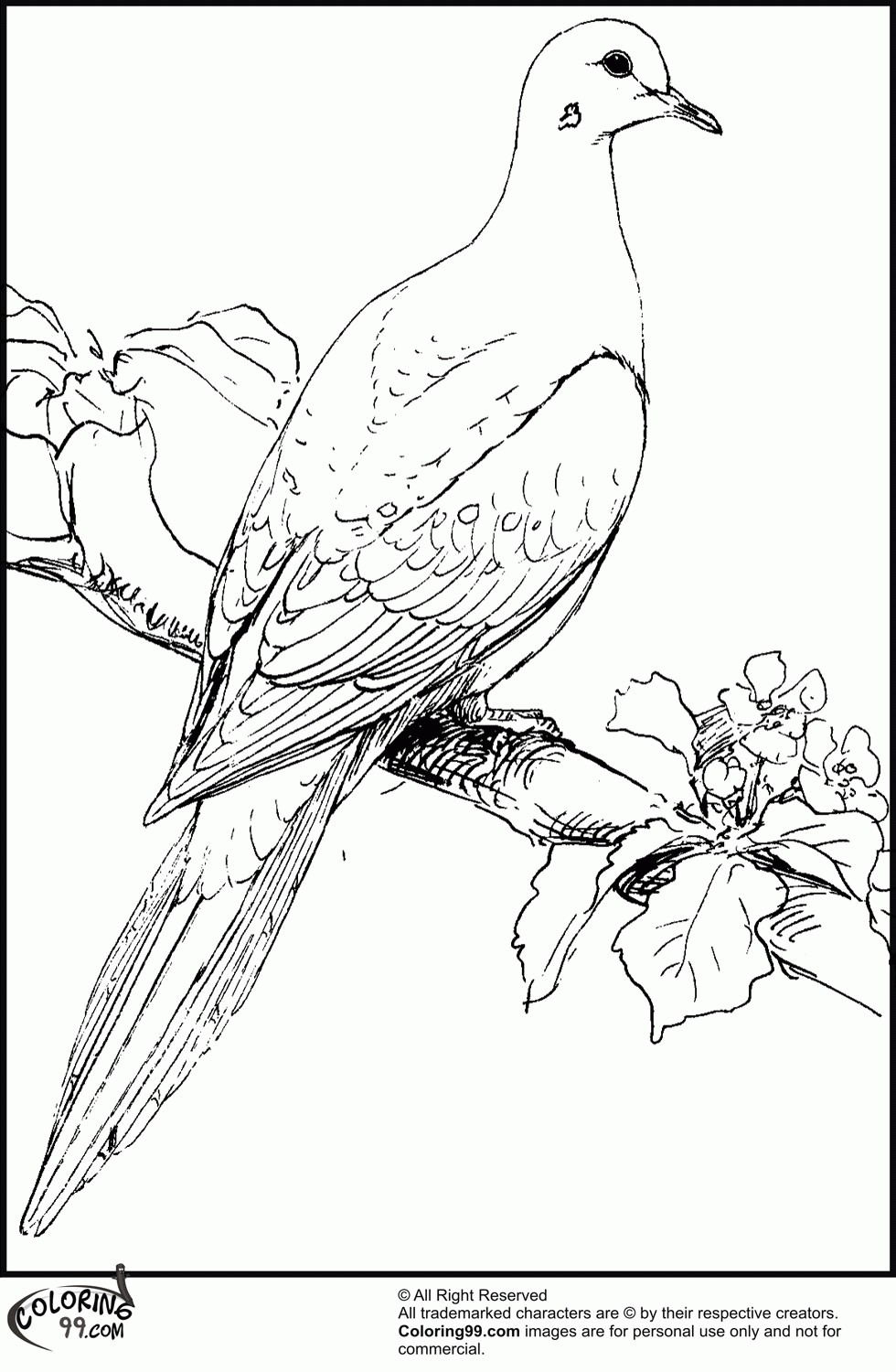 Baby Doves Coloring Pages - Coloring Pages For All Ages