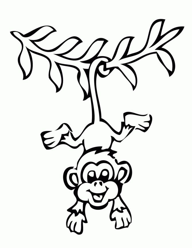 Monkey Coloring Pages | Arianna birthday ideas