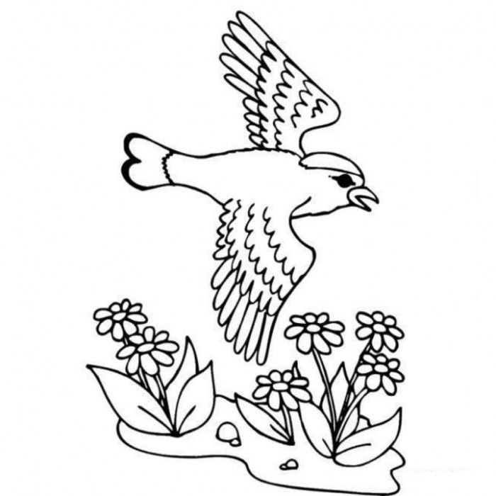 Spring Coloring Pages Birds - Animal Coloring Pages of The Kids 