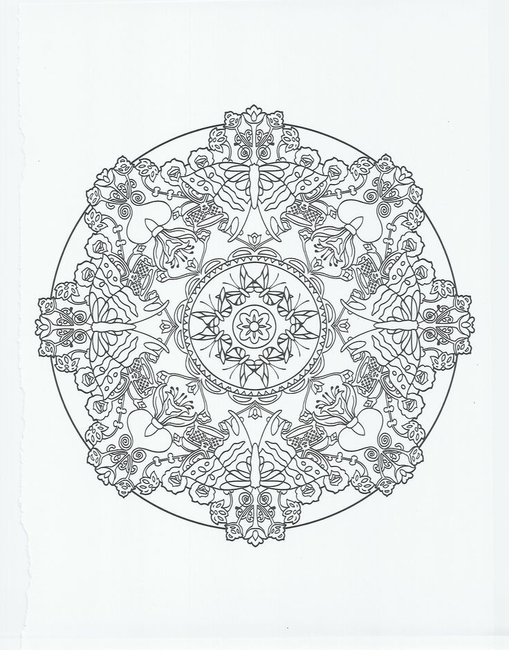 animal mandala - butterfly | coloring pages