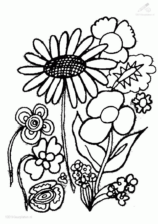 Plants And Flowers Colouring Pages - Coloring Home
