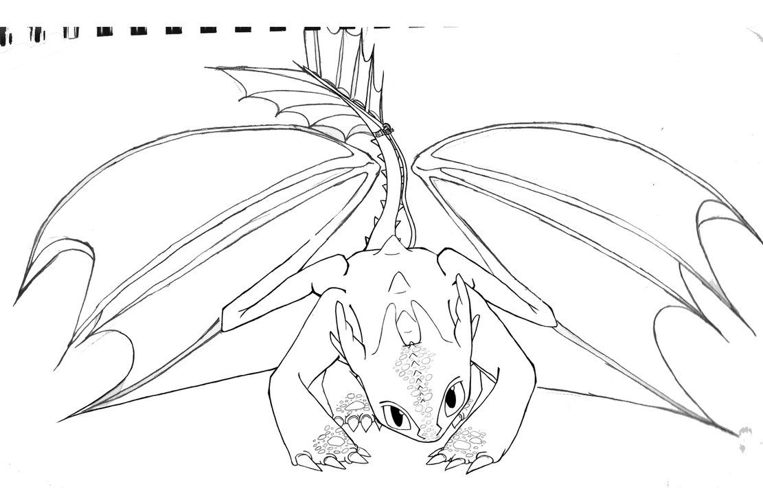 7 Pics of Train Your Dragon Coloring Pages - How to Train Your ...