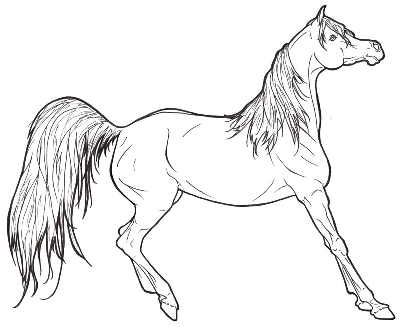 Realistic Horse Coloring Pages To Print - Coloring Home