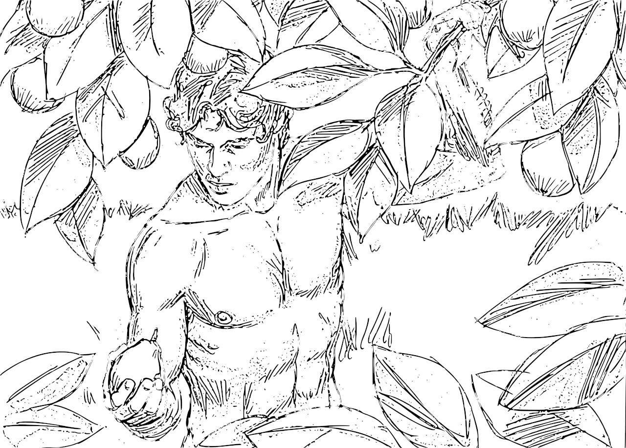 Adam Eve Coloring Pages - Colorine.net | #26556