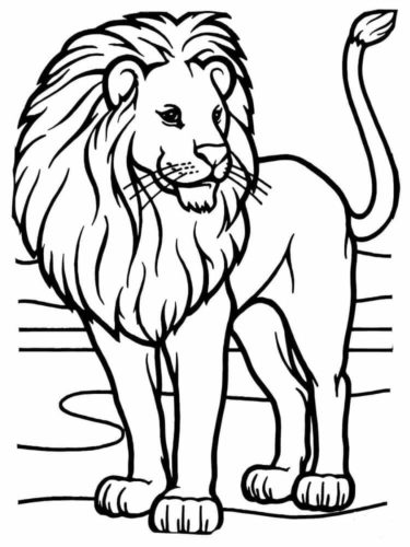 35 Free Lion Coloring Pages Printablescribblefun.com