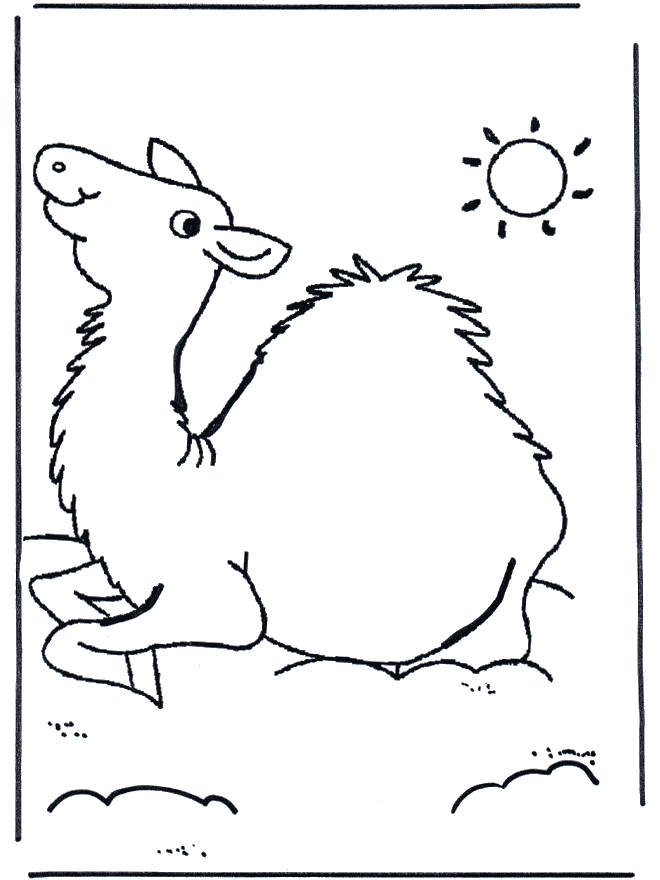 Camel coloring page - Camel free printable coloring pages animals