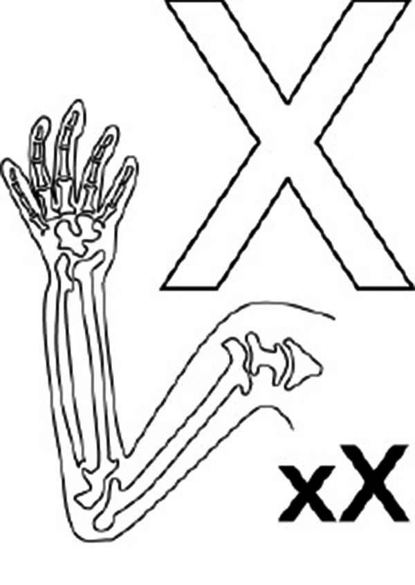 Big and Small Letter X for X Ray Coloring Page | Bulk Color
