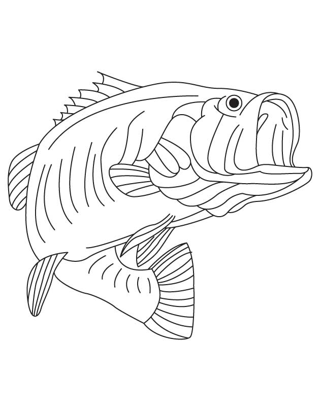 10 Pics of Cartoon Largemouth Bass Coloring Page - Bass Fish ...