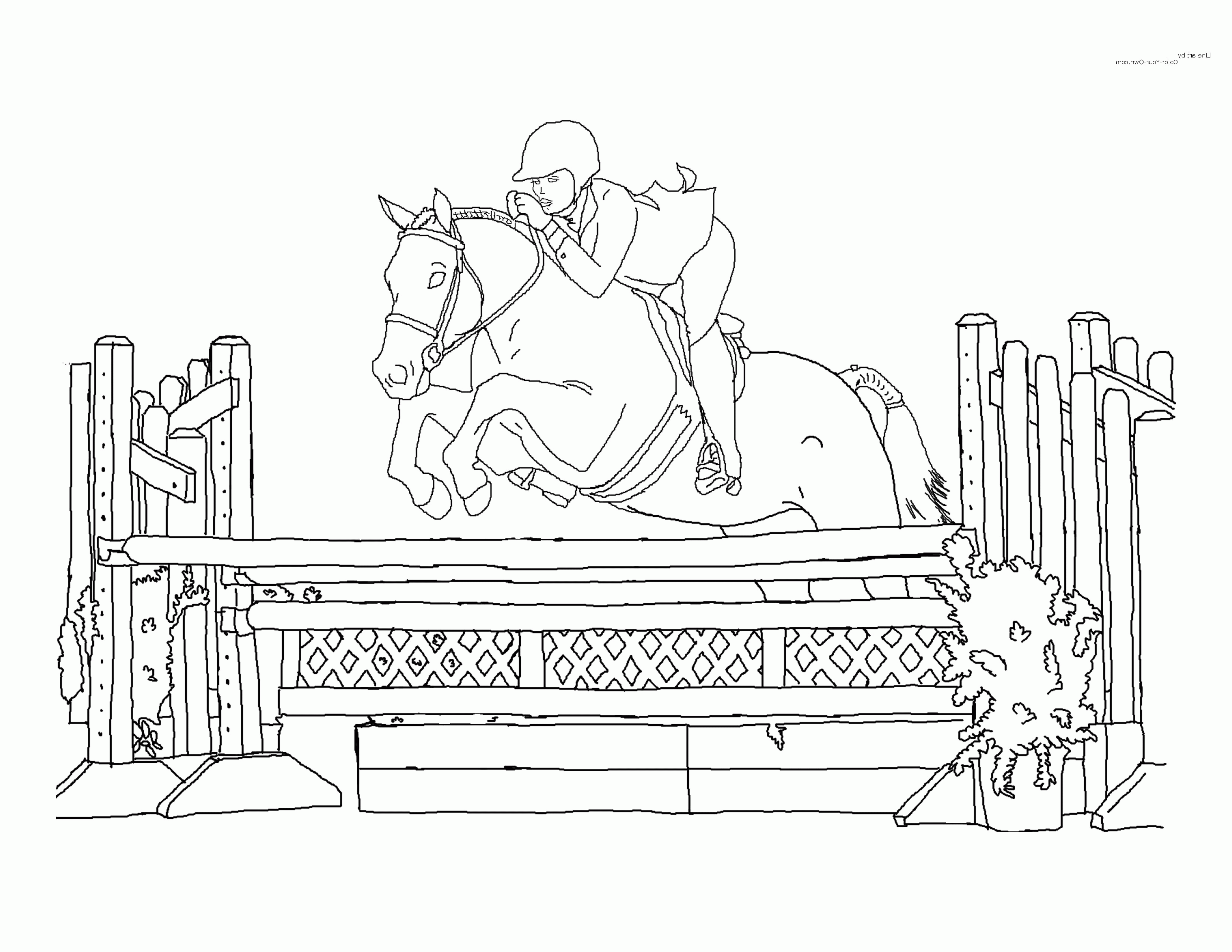 Printable Horses Jumping Coloring Pages / Horses For Drawing at