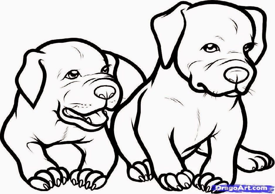 Pitbull - Coloring Pages for Kids and for Adults