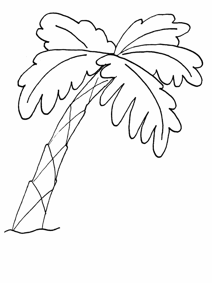 Coloring Pictures Of Palm Trees - Coloring Pages for Kids and for ...