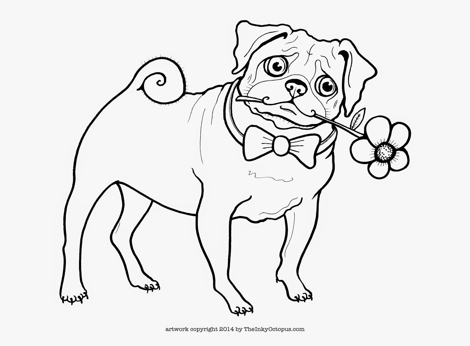 21 Free Pictures for: Pug Coloring Pages. Temoon.us