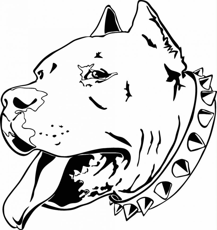 Pitbull Dog Coloring Pages Pitbull Terrier Coloring Pages. Kids ...
