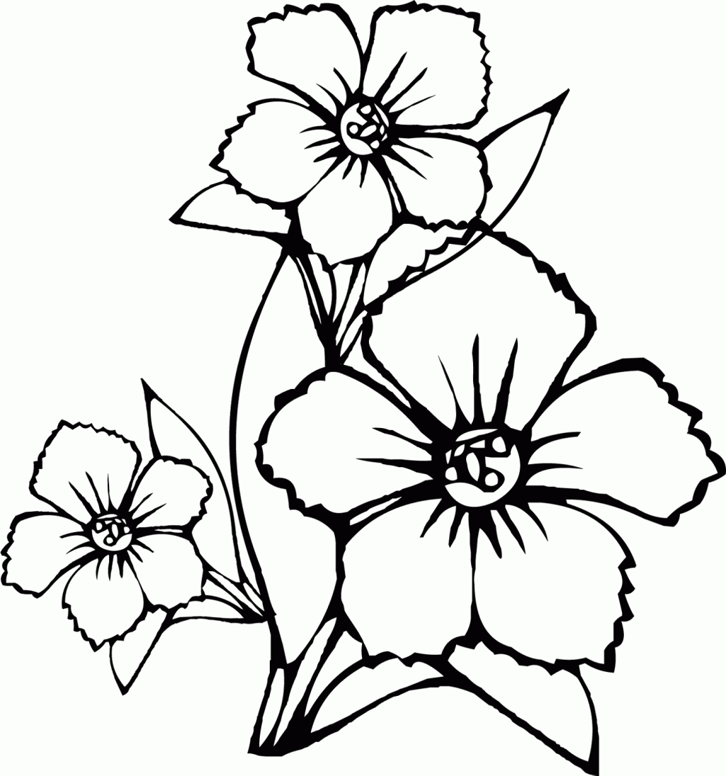 Printable Coloring Pages Of Hawaiian Flowers - Coloring Home