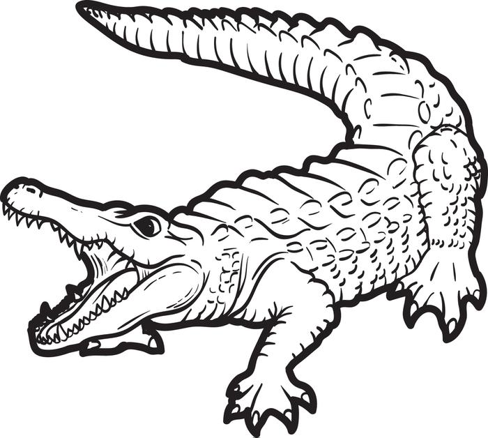 crocodile-drawings-for-kids-coloring-page-coloring-home