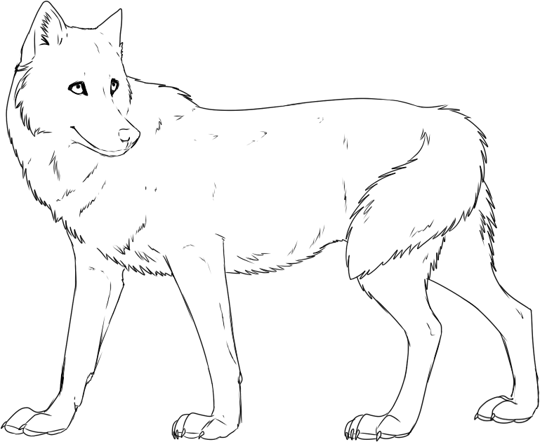 free printable cute baby wolf coloring pages - VoteForVerde.com