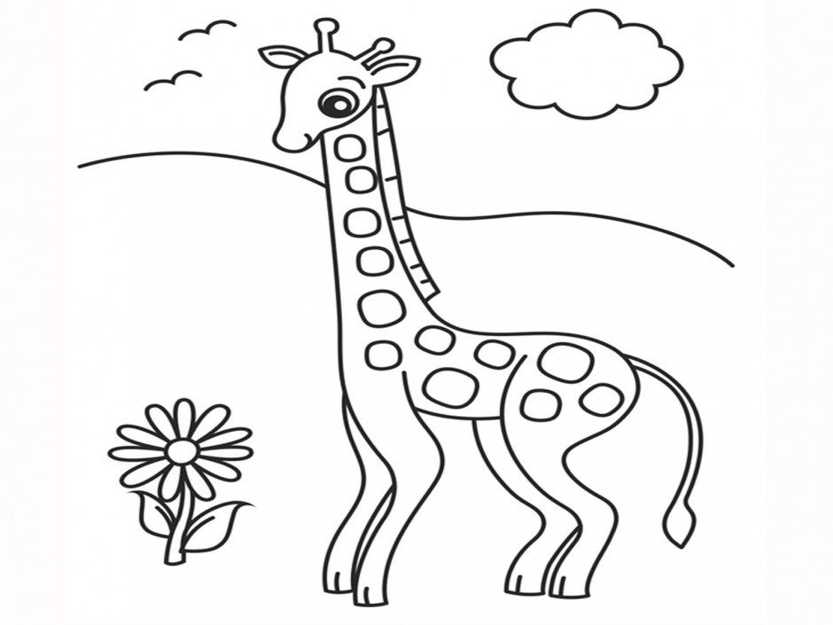 Okapi Giraffe Coloring Page Id 88843 Uncategorized Yoand 150986 