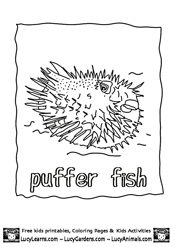 Coloring Pages Tropical Fish Home Kids Printable Puffer