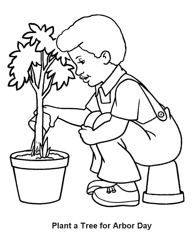 seedling tree Colouring Pages