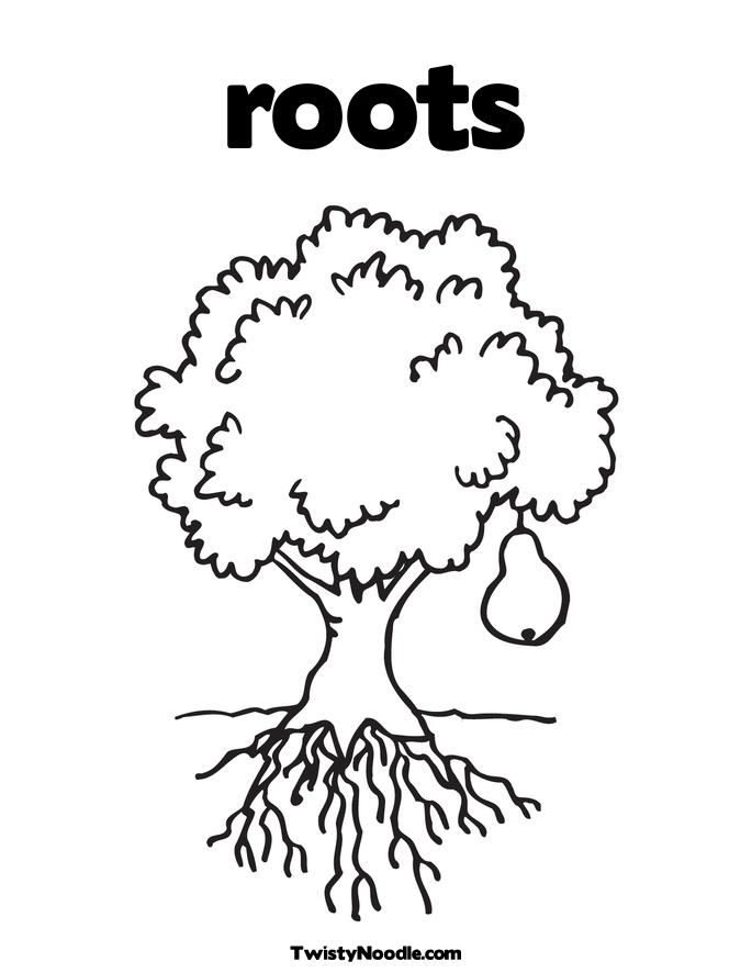 roots of plants Colouring Pages (page 3)