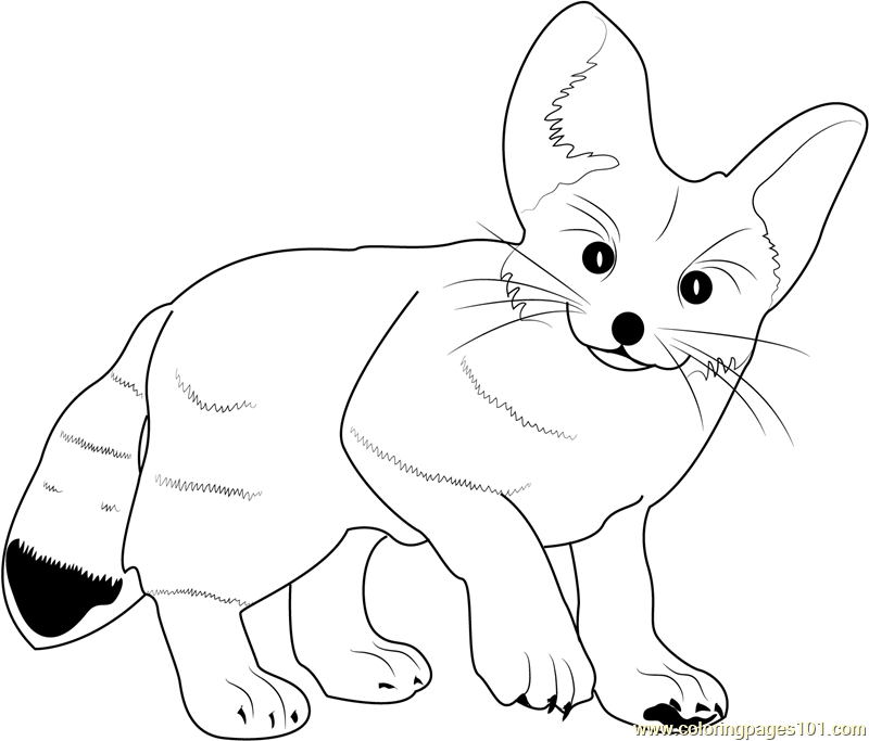 Fennec Fox Coloring Page - Free Fox Coloring Pages ...