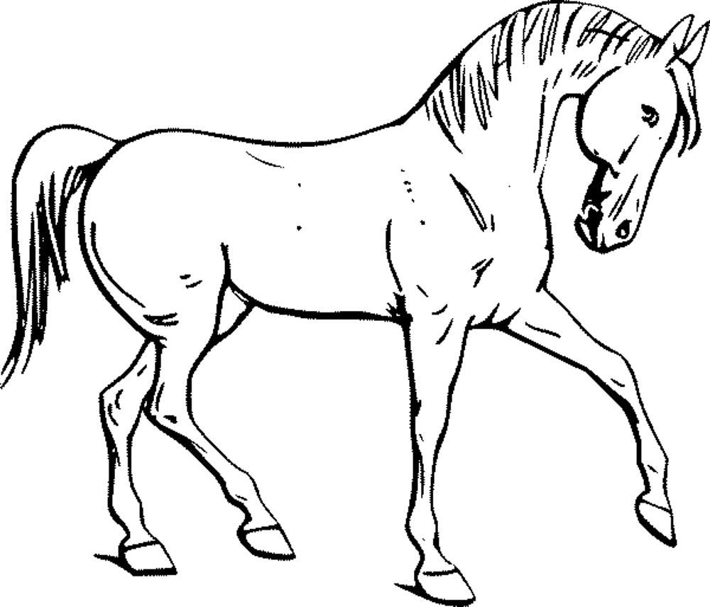 Coloring Pages: Printable Coloring Pages Horses Printable Kids ...