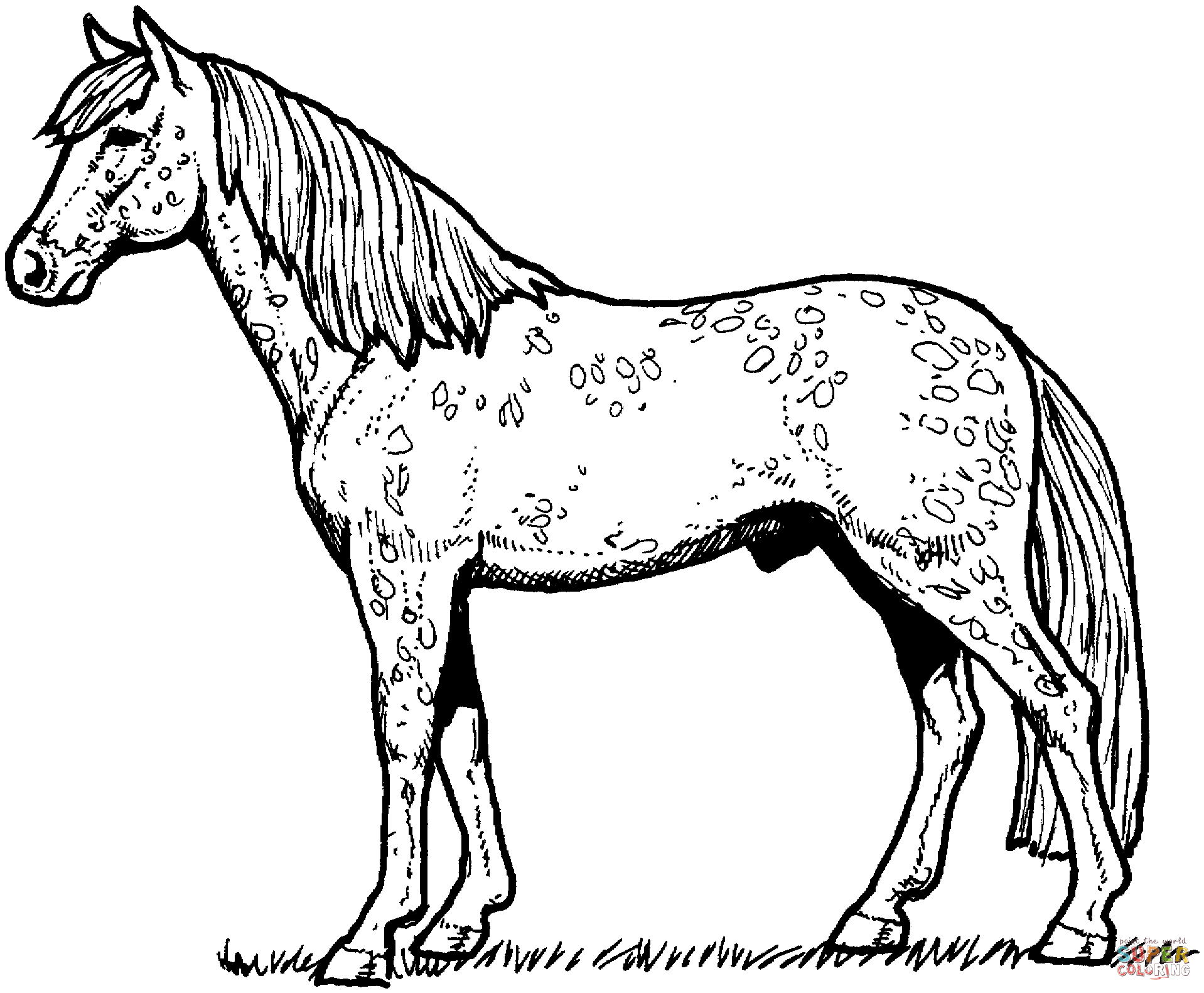 free-printable-realistic-horse-coloring-pages-coloring-home