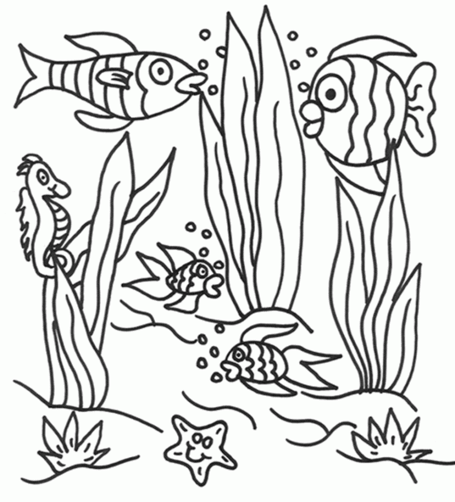 Underwater Creatures Coloring Pages Underwater Scene Coloring ...