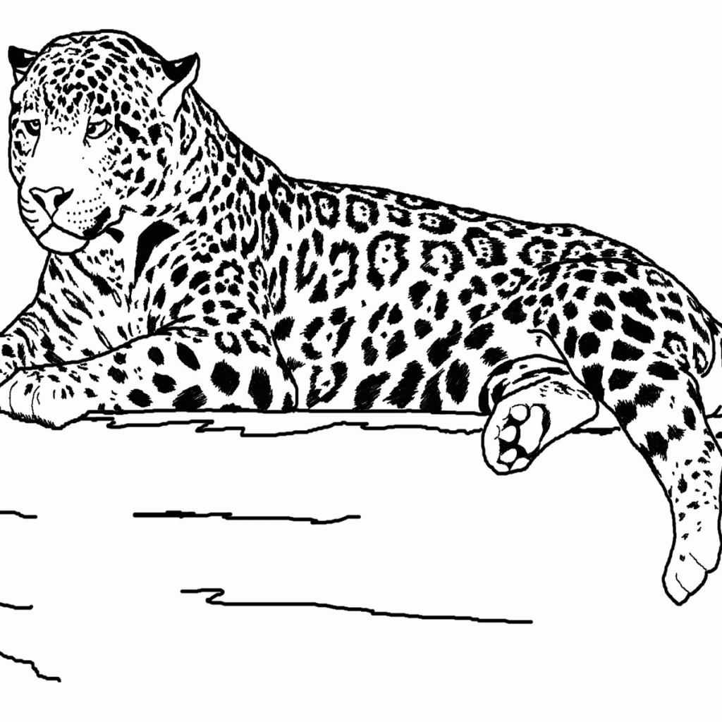 Grassland Animals Coloring Pages - Coloring Home