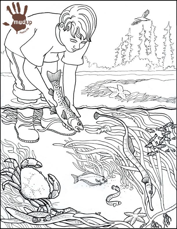 Pencil Drawing Water Pollution Sketch Coloring Page