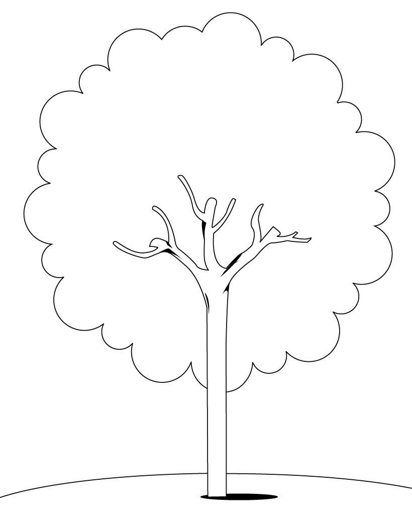 Free Animal Pages Coloring Pages Of A Tree Fresh On Free Coloring ...