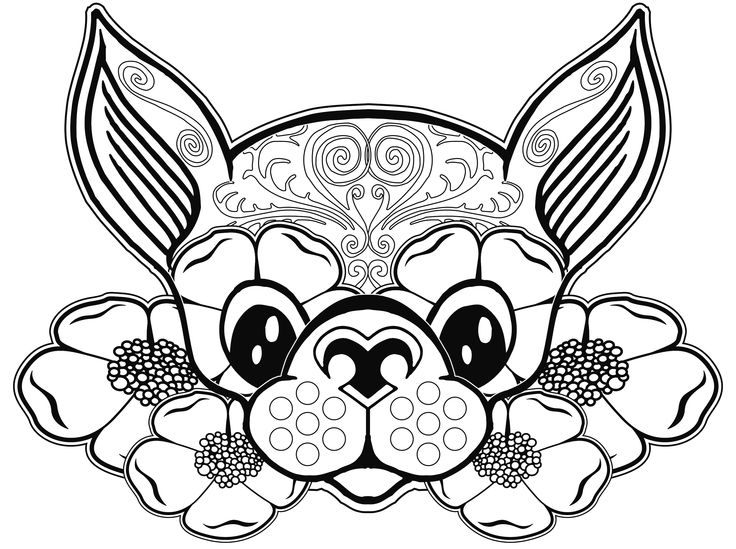 Chihuahua Coloring Pages - Coloring Home
