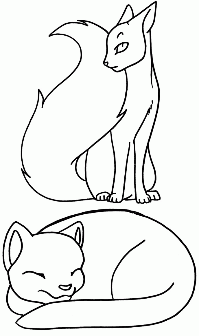Bloodclan Warrior Cats Coloring Pages Ages Kits
