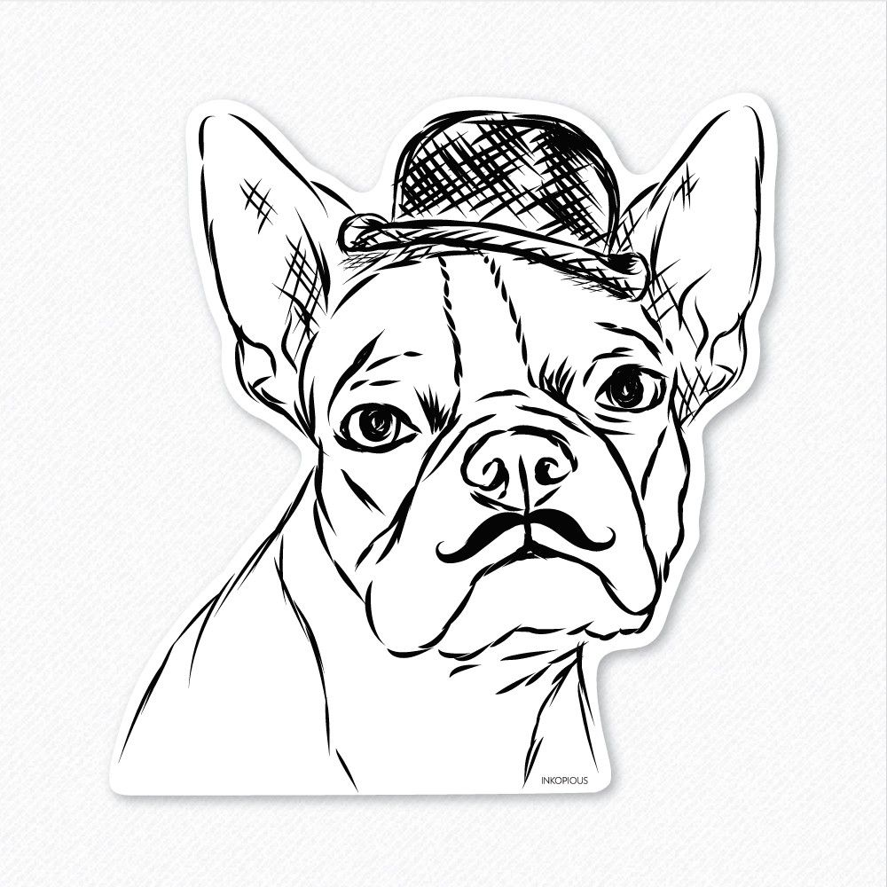 Boston Terrier Coloring Pages Printable Coloring Home
