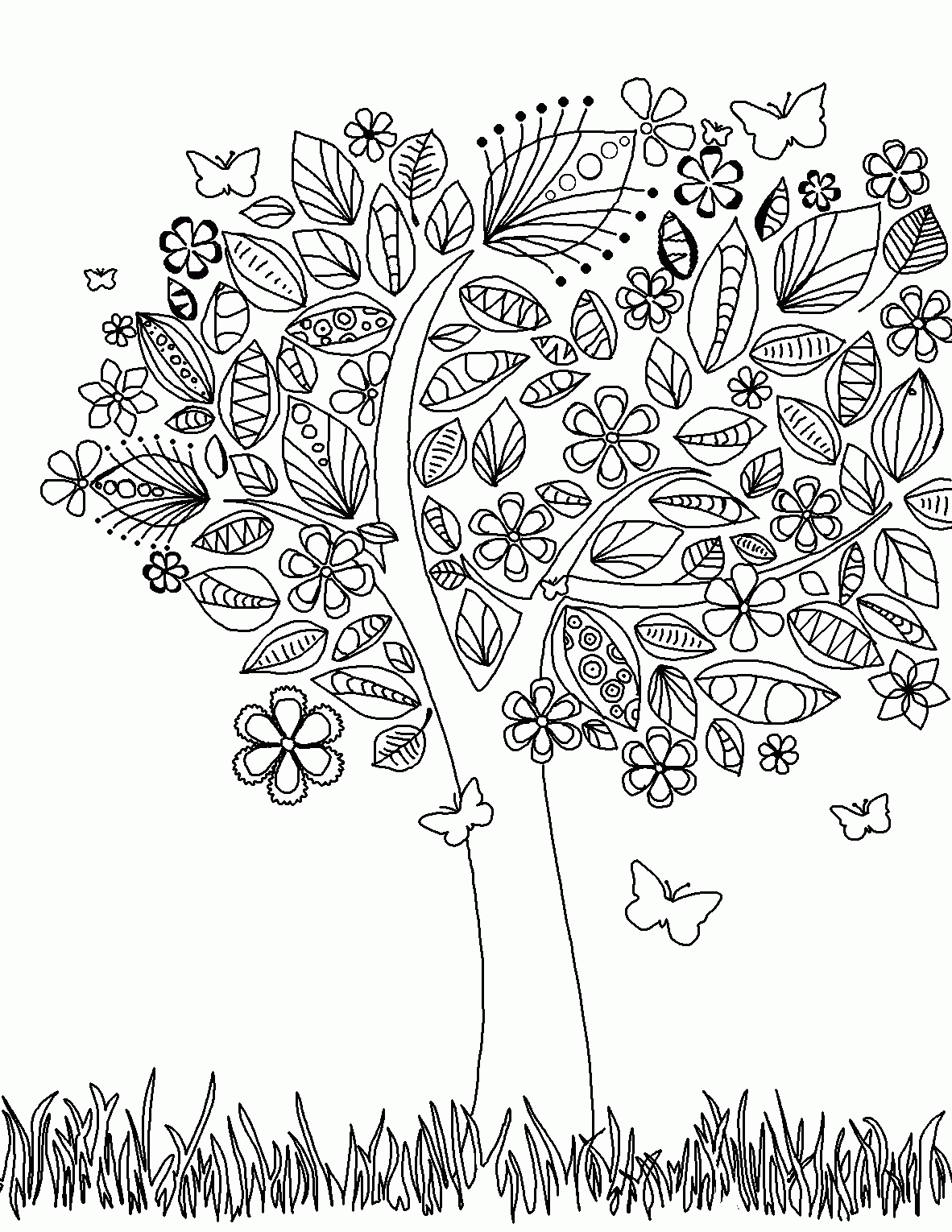 California State Tree Coloring