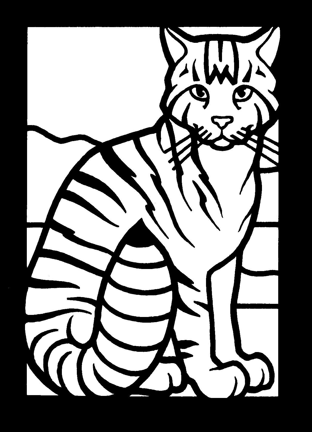 Wildcat Coloring Pages - Coloring Home