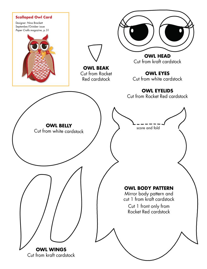 Diy Free Printable Paper 3d Owl Template For Kids