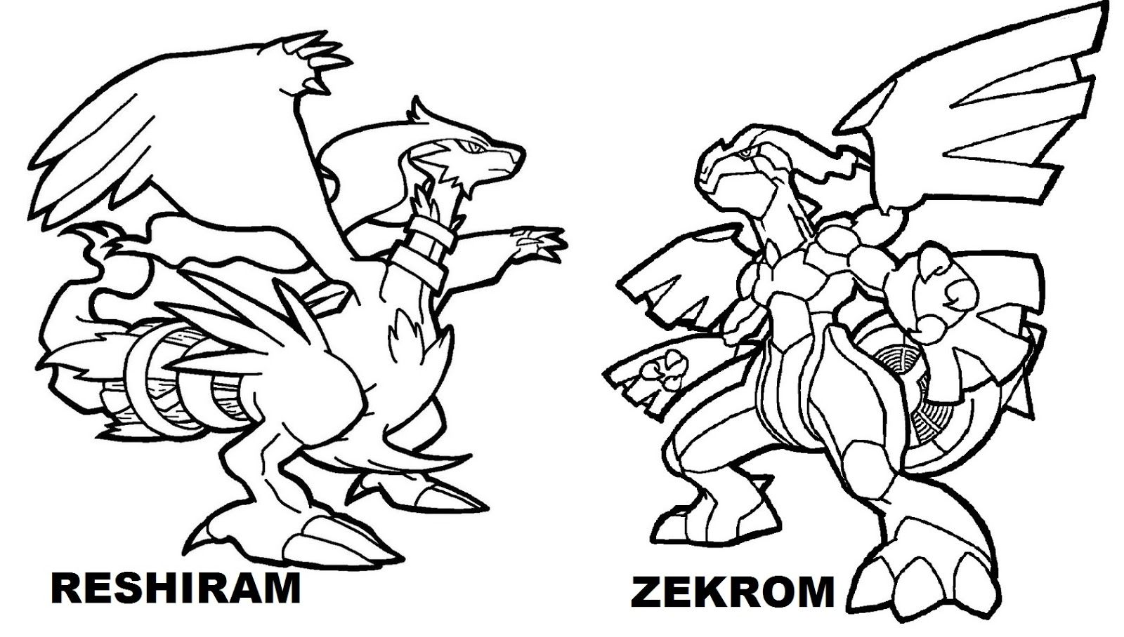 pokemon-coloring-pages-groudon-coloring-home