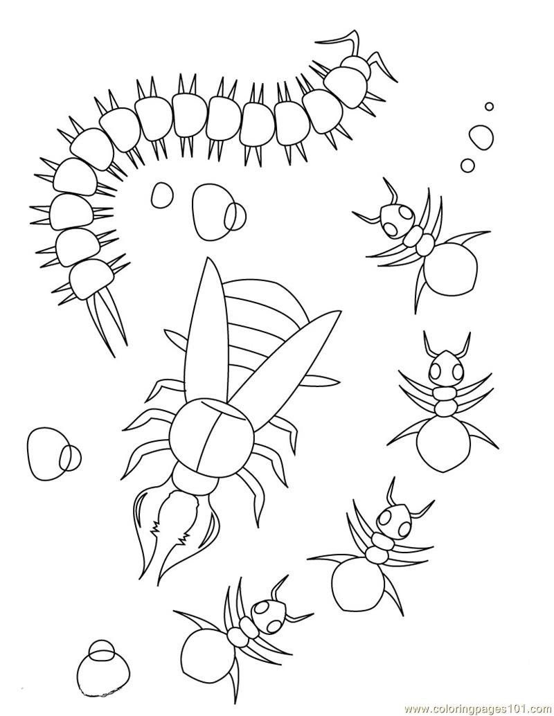 Centipede-ant Coloring Page - Free Ants Coloring Pages :  ColoringPages101.com