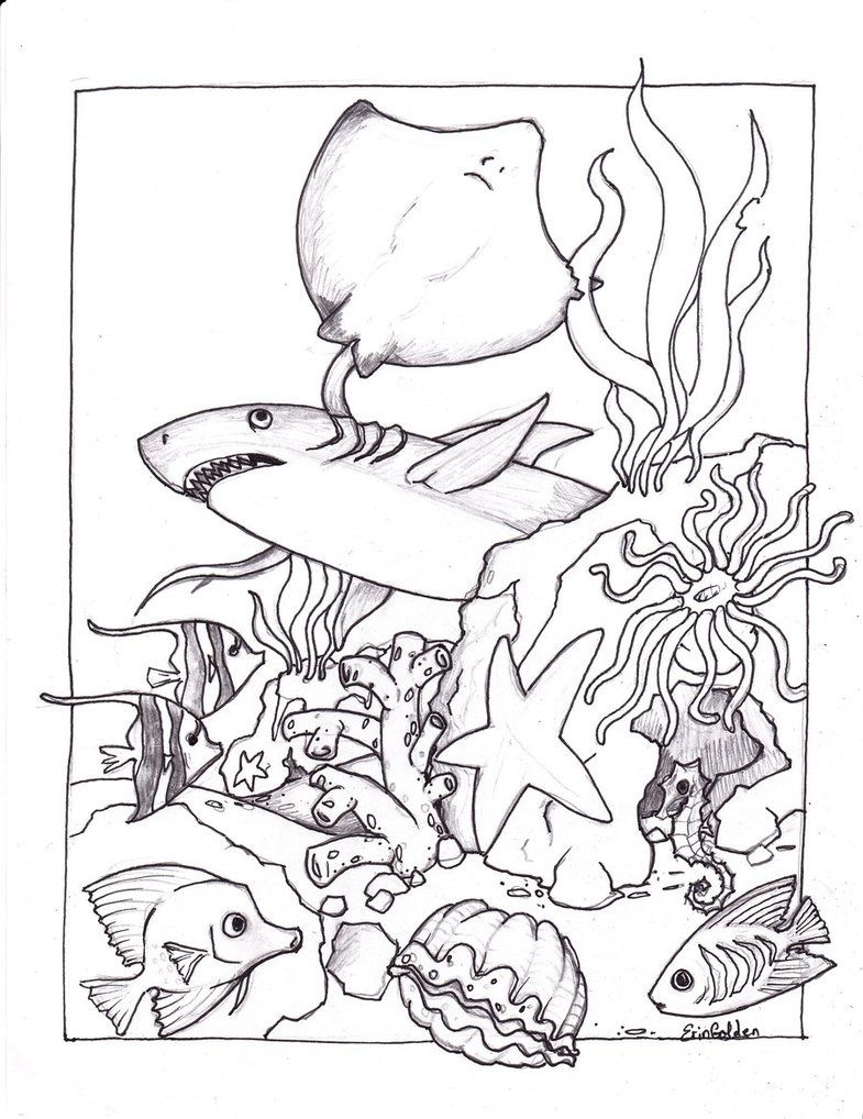 ocean themed coloring pages - photo #22