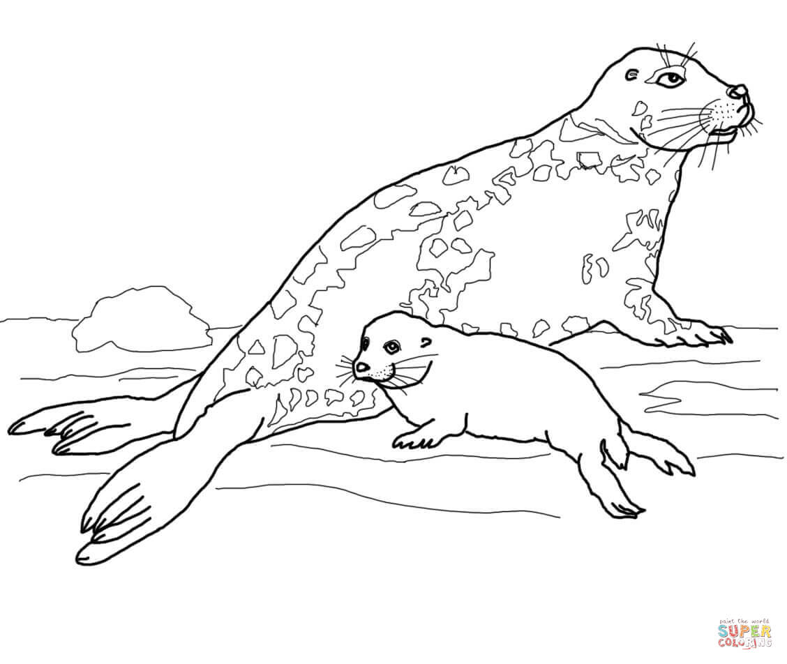 Gray Seal Mother and Baby coloring page | Free Printable Coloring ...