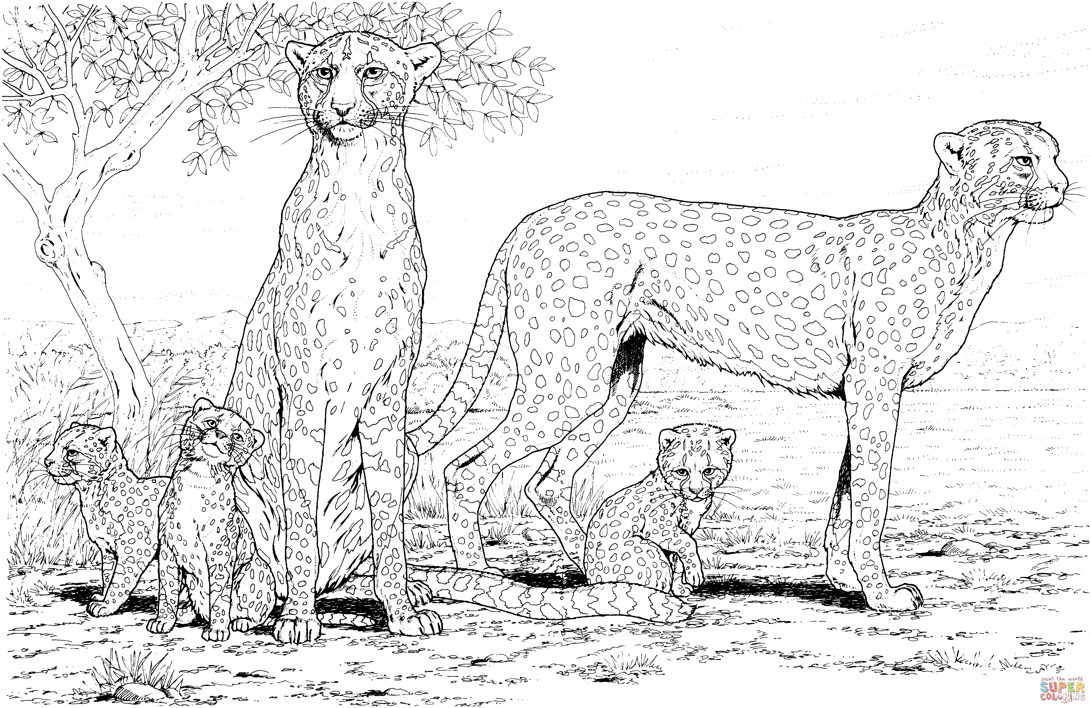 Cheetah Printable Coloring Pages Coloring Home