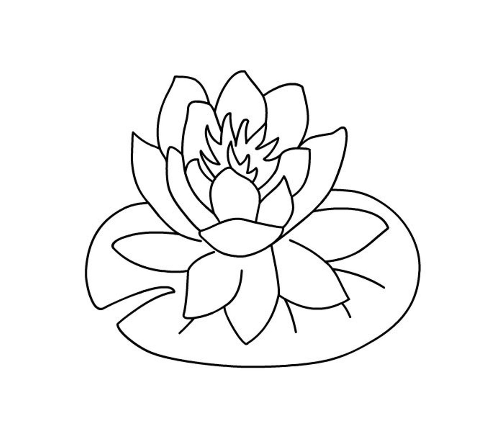 Hibiscus Flowers Coloring Pages | Flower Coloring pages of ...